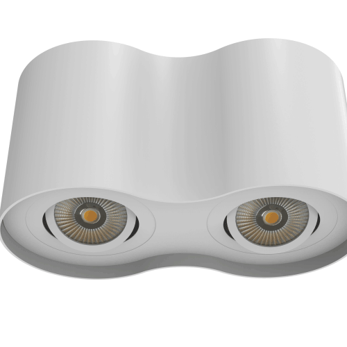 Round Shape LED Downlight With 2 lamps